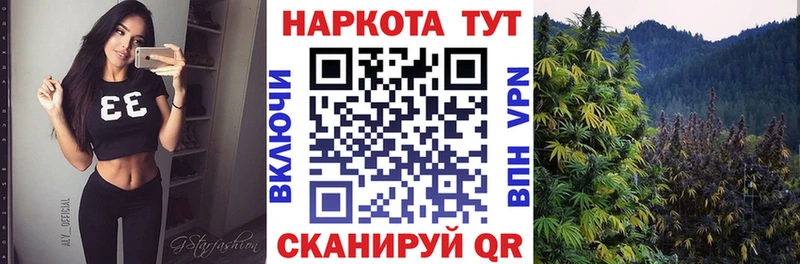 МЕТАДОН Трубчевск