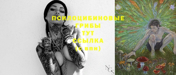 2c-b Алексеевка